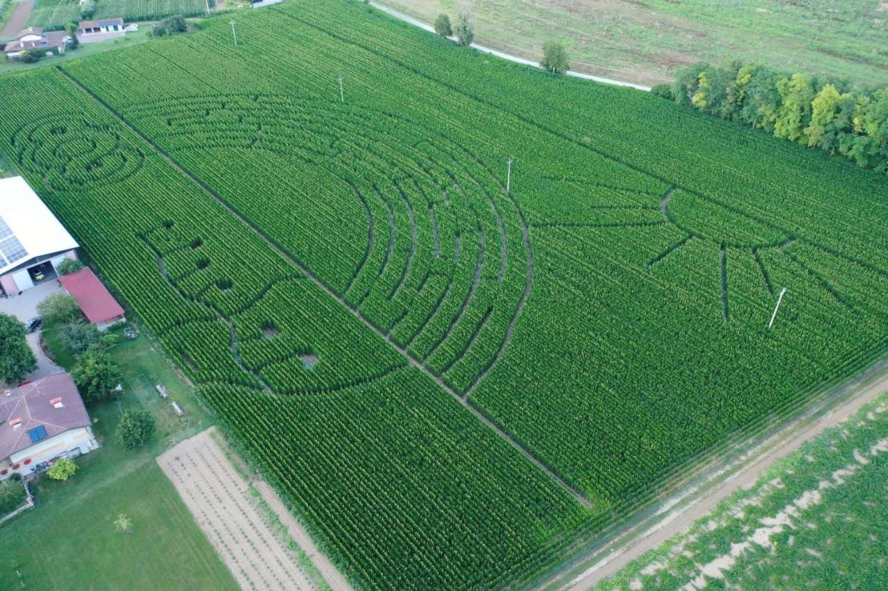 La Selce Farmhouse Bagnario Arsa Exteriér fotografie