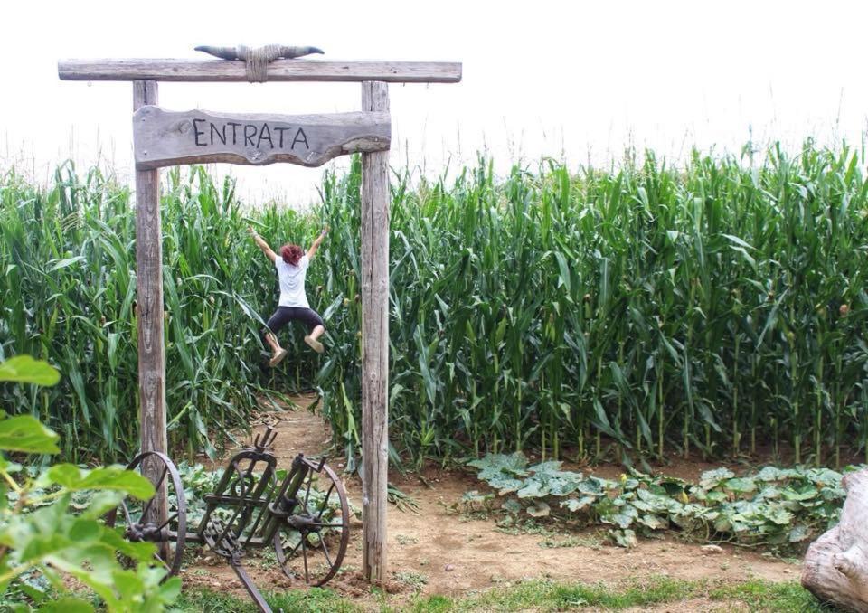 La Selce Farmhouse Bagnario Arsa Exteriér fotografie