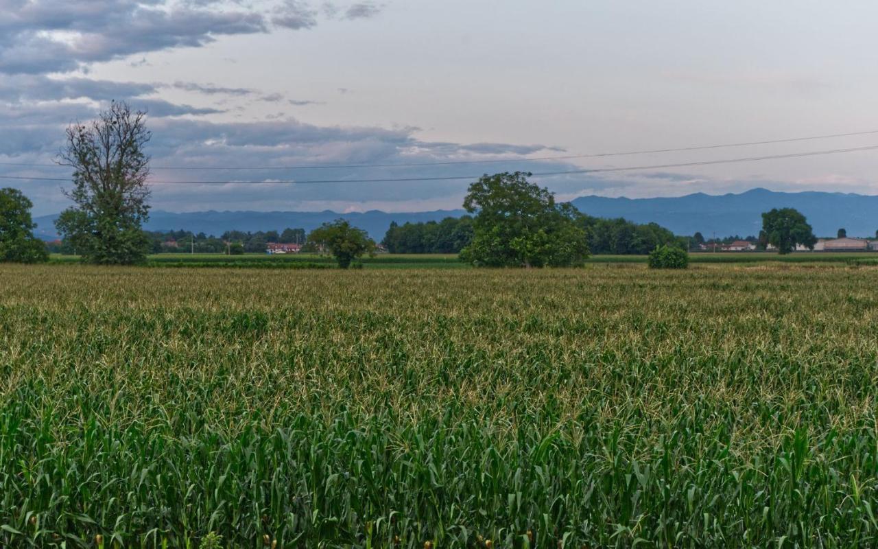 La Selce Farmhouse Bagnario Arsa Exteriér fotografie