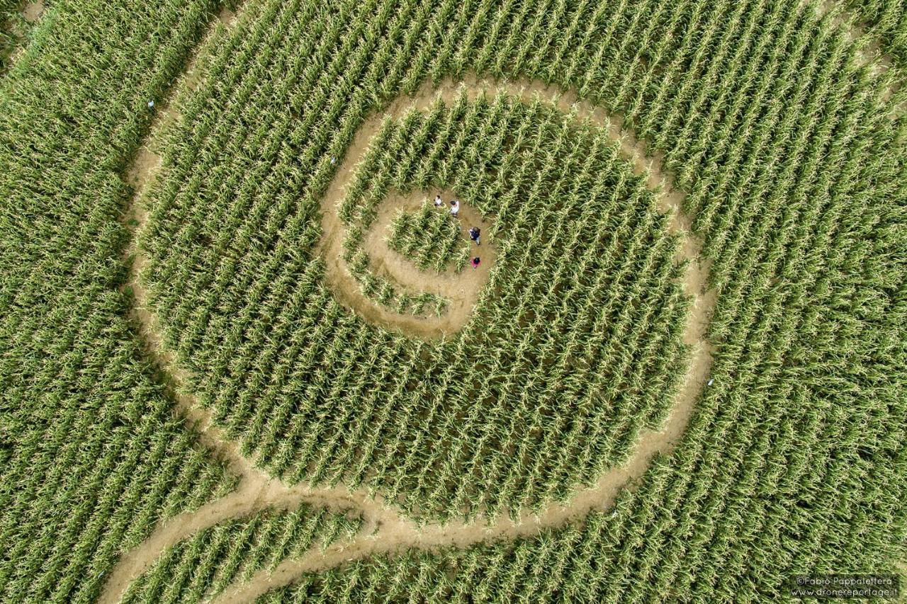 La Selce Farmhouse Bagnario Arsa Exteriér fotografie